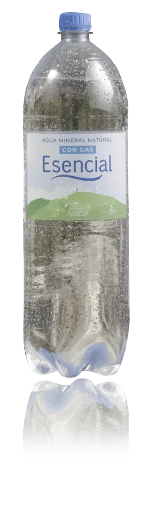 ESENCIAL Agua con Gas 2 Lt.